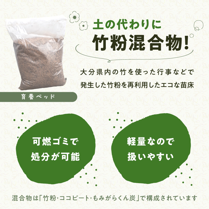 バンブーガーデンキット