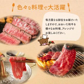 【プレミアム定期便】大分が誇る おおいた和牛・豊後牛毎月お届け定期便（12回）