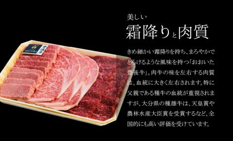 百年の恵 「おおいた和牛」 焼肉詰合せ約990g