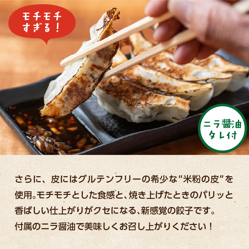 マジでうまい！モチモチすぎるニラ子の米粉ぎょうざ 大分県産豚肉・にら100%使用(ニラ醤油タレ付) 10個入り3パック