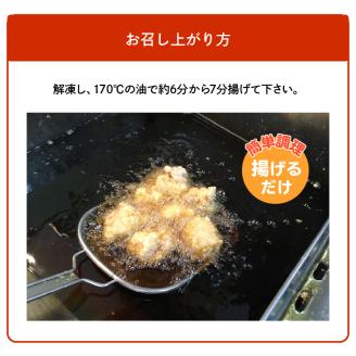 元祖おおいた唐揚げ　約2kg