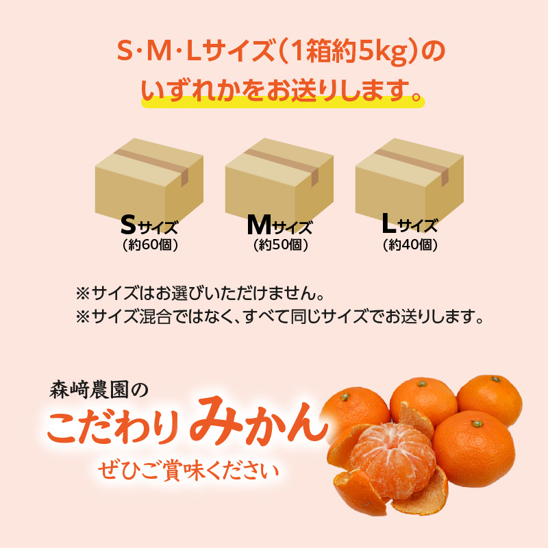 森﨑農園のこだわりみかん 約5kg 極早生～ 早生～蔵出しまで