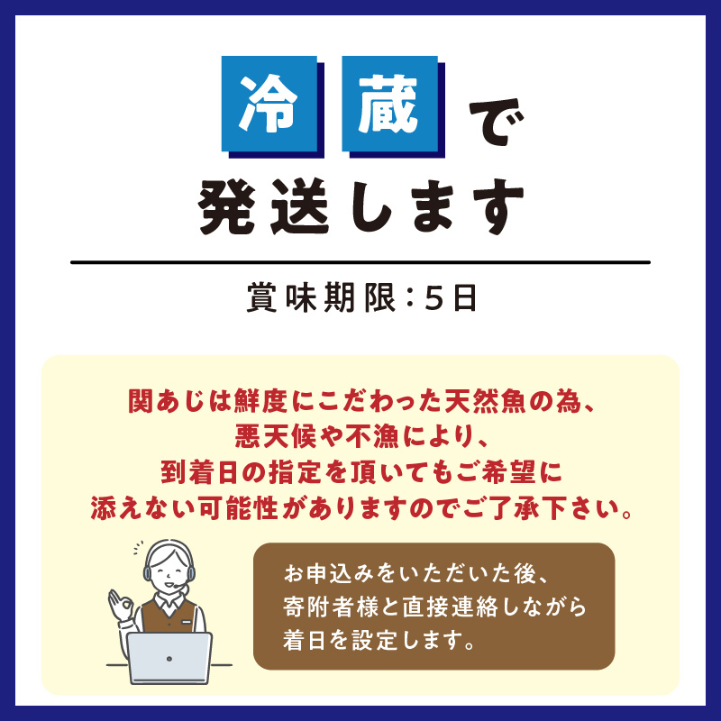 関あじ（鮮魚セット）2尾