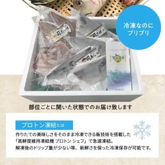 佐賀関産　朝獲れ鮮魚　おまかせ詰め合わせ　約2kg