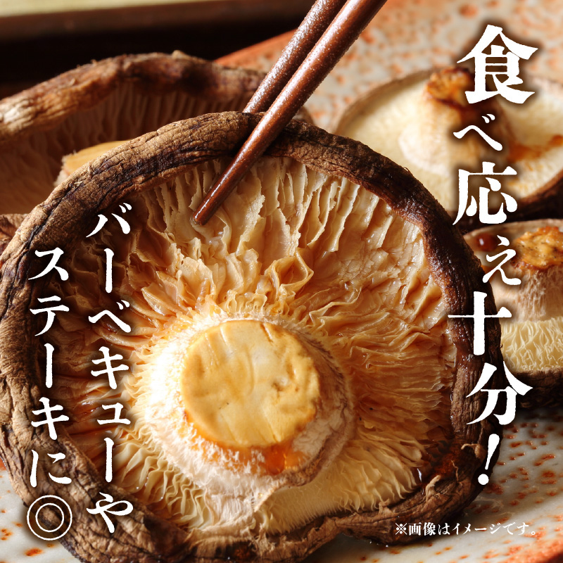 大分県産椎茸　香菇　逸品　IP-B