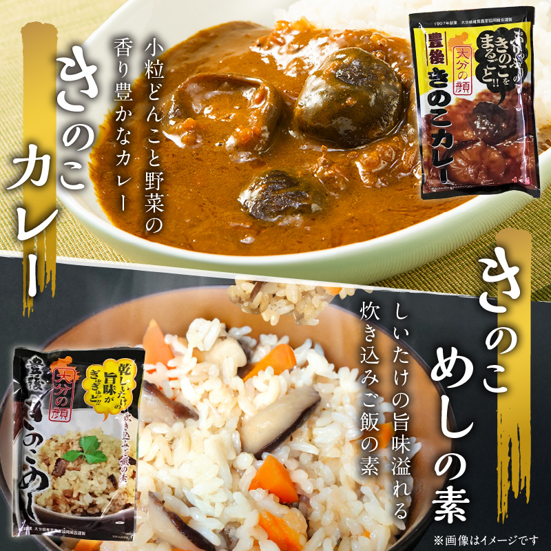 大分産乾しいたけと豊後きのこカレーと豊後きのこめし