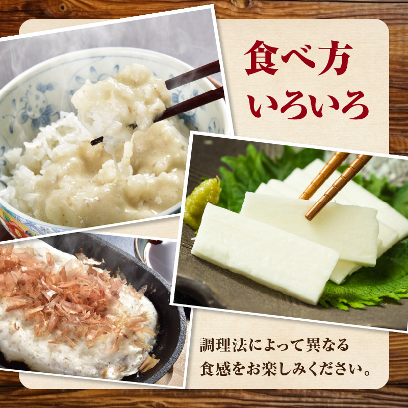 こだわり自然薯 A