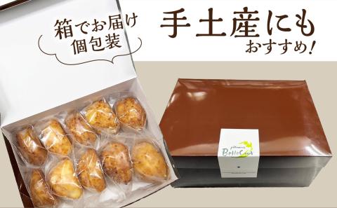 瞬間冷凍 ベルクール 焼きたてシュークリーム 10個セット