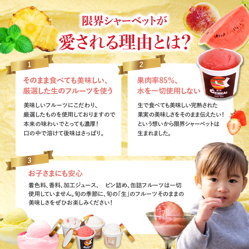 限界シャーベット　6個セット