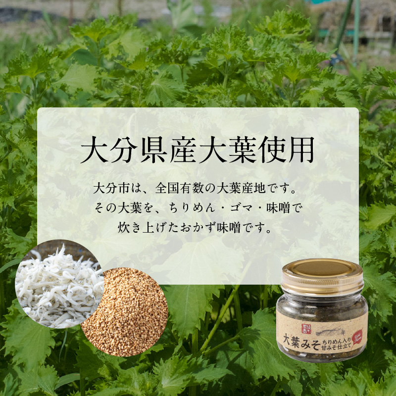 大葉農家のおかず味噌 3個セット