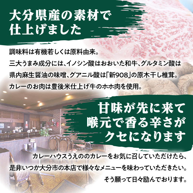 大分の味、受け継がれる魂のうえのビーフカレー　3袋