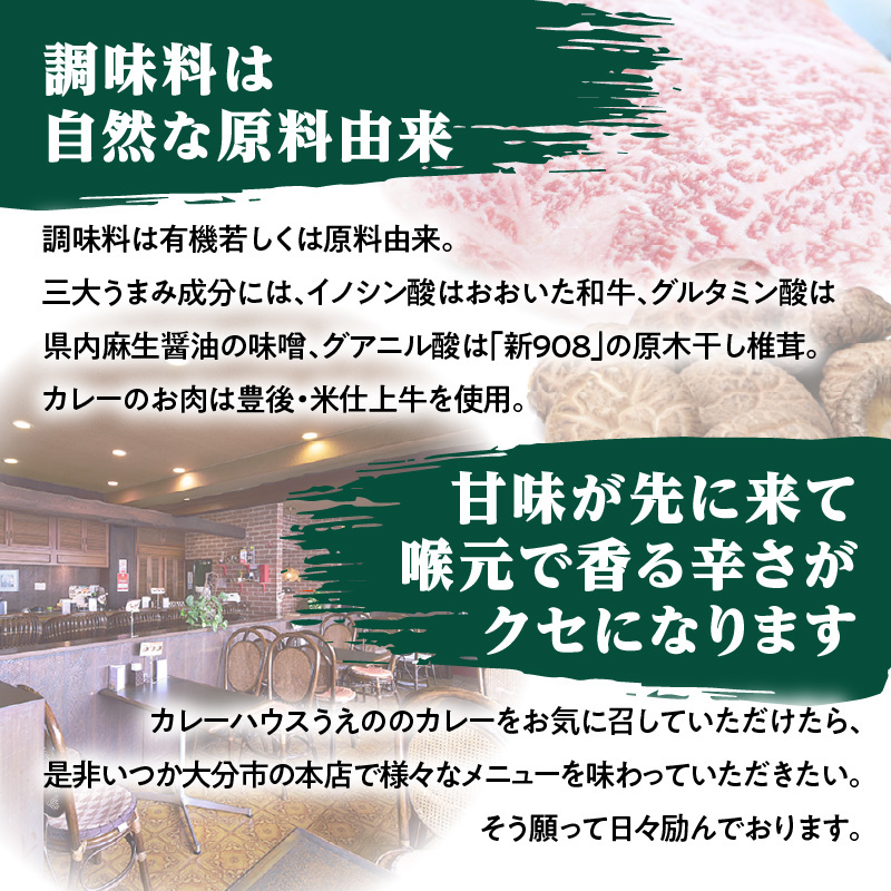 九州クラフト うえの焙煎ビーフカレー 冷蔵 5袋