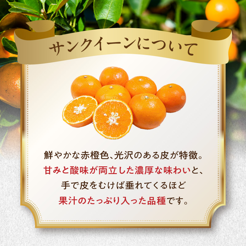 サンクイーンジャム　140g×3個