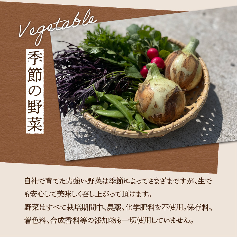 FARMER'S SALT＋季節の野菜6種類