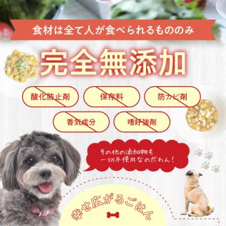 ドッグフード　無添加　お肉ごはん3点セット　【犬の手作りごはん】