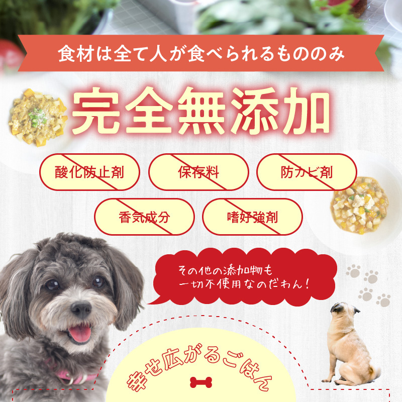ドッグフード 無添加 お肉ごはん3点セット 【犬の手作りごはん】