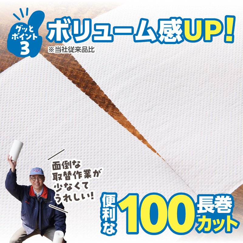 グッと吸い込むキッチンタオル100カット(6ロール×8パック)