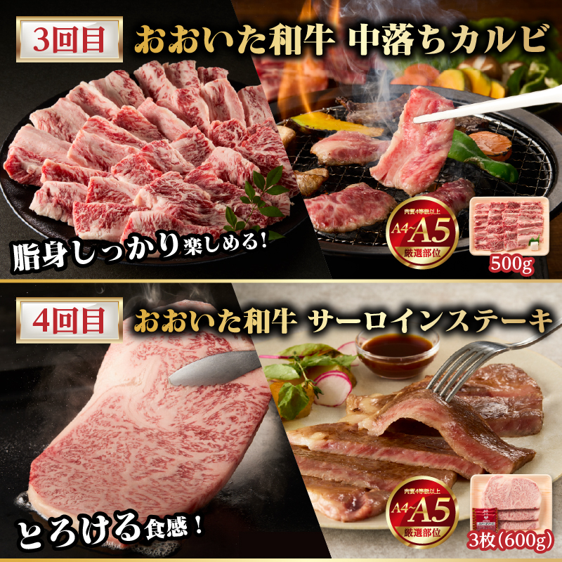 【隔月配送】【おおいた和牛堪能】隔月4回お届け定期便