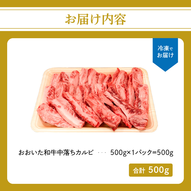 厳選A4～A5等級 おおいた和牛 中落ちカルビ 500g