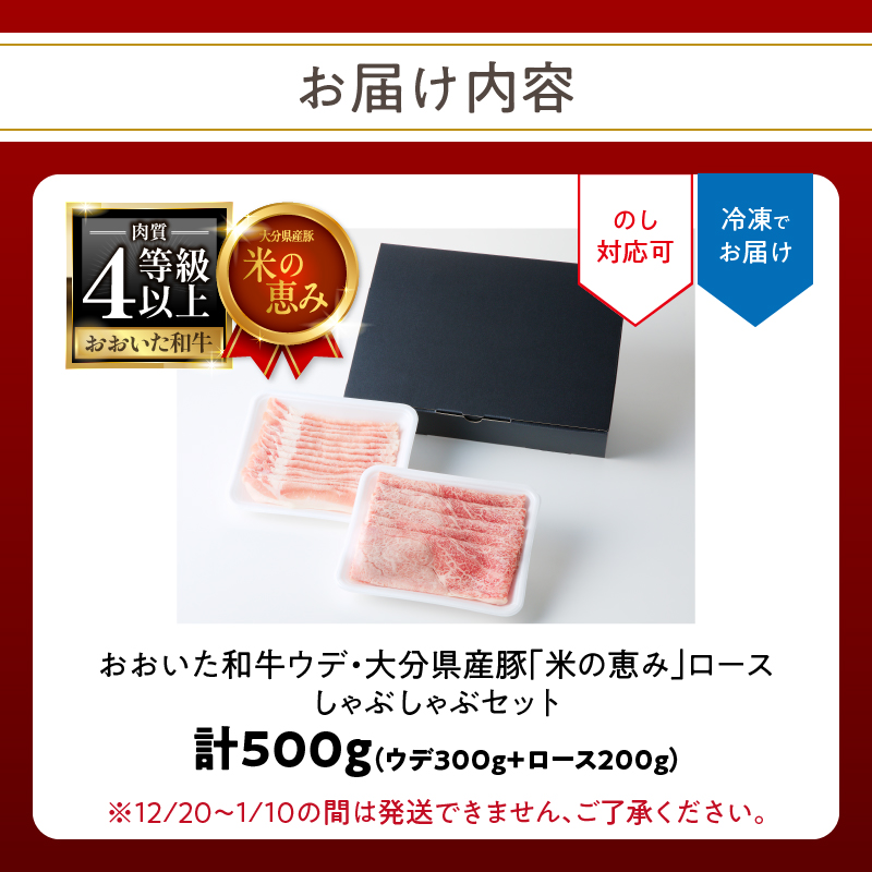 おおいた和牛認定店はしづめ　A4等級以上「おおいた和牛」300gと大分県産豚「米の恵み」200gのしゃぶしゃぶセット