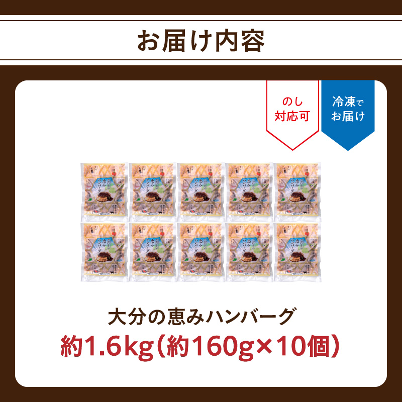 大分の恵みハンバーグ約1.6㎏（約160g×10個）