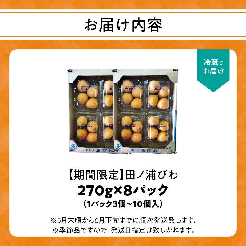 【期間限定】田ノ浦びわ 約2.16kg(270g×8パック）