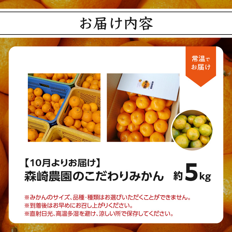 森﨑農園のこだわりみかん 約5kg 極早生～ 早生～蔵出しまで