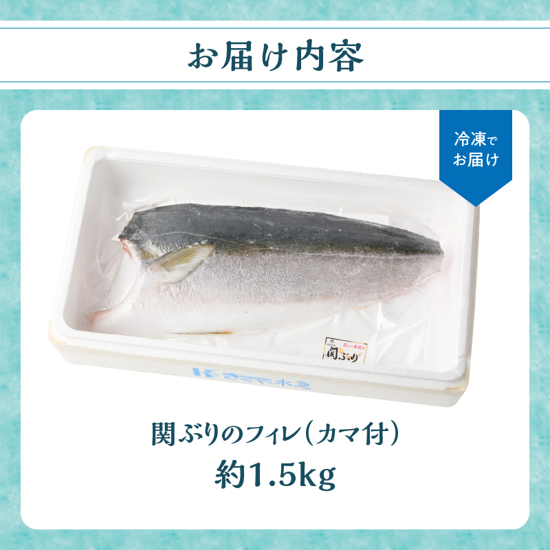 関ぶりのフィレ（カマ付）　約1.5kg