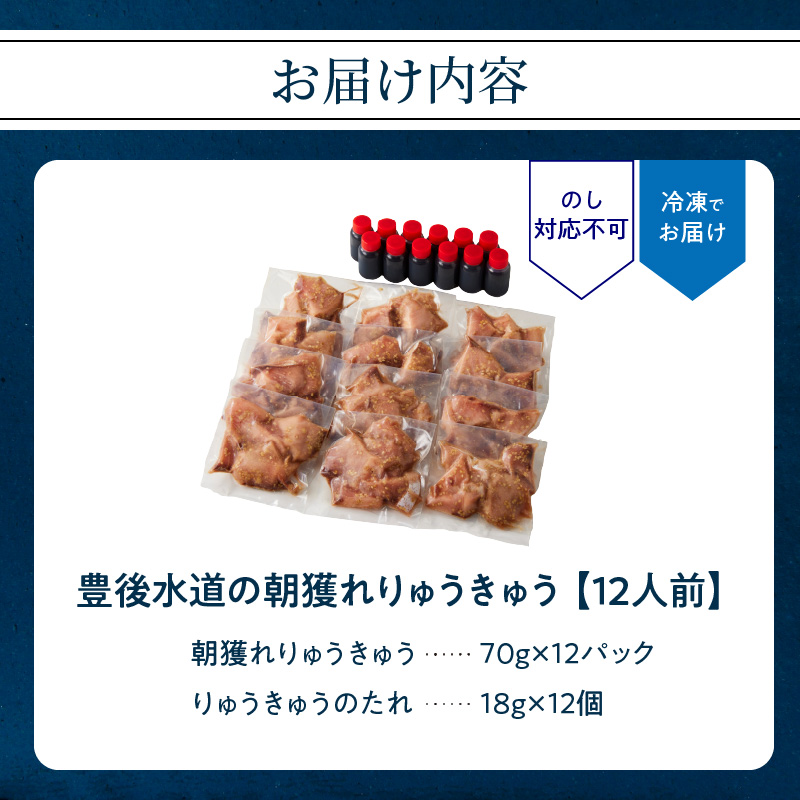 豊後水道の朝獲れ　りゅうきゅう　【12人前】