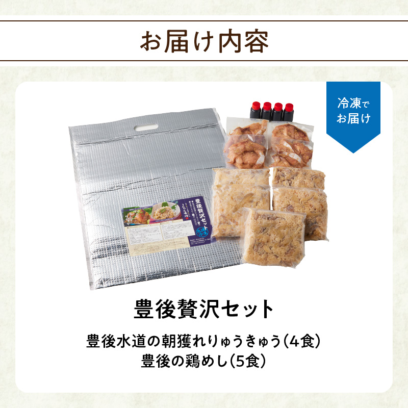 豊後贅沢セット 豊後水道の朝獲れりゅうきゅう4食 豊後の鶏めし5食