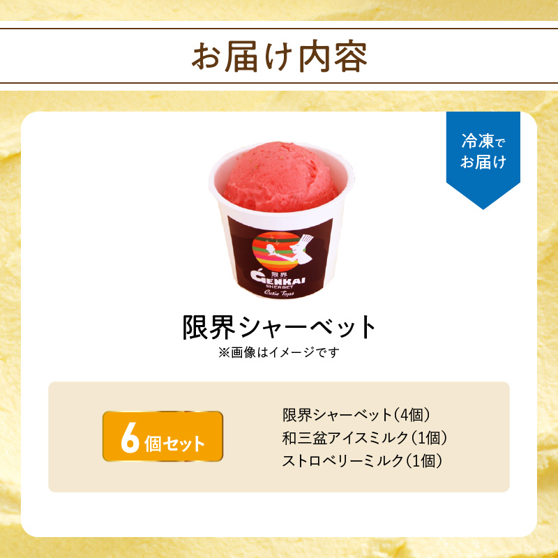 限界シャーベット　6個セット