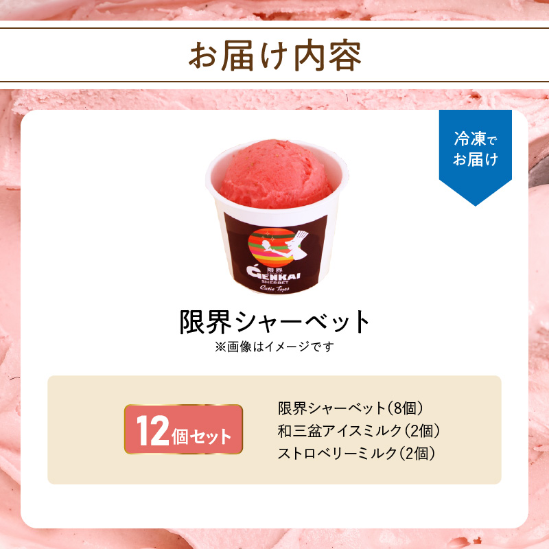 限界シャーベット　12個セット