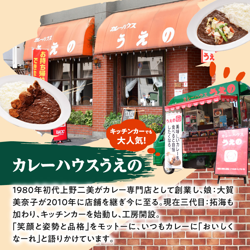 大分の味、受け継がれる魂のうえのビーフカレー　5袋