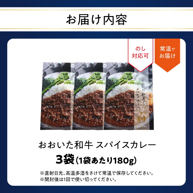 おおいた和牛 スパイスカレー 3袋