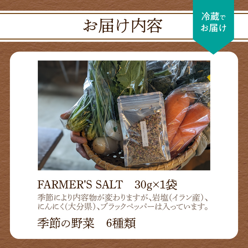FARMER'S SALT＋季節の野菜6種類