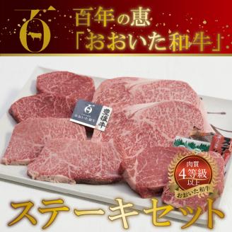 百年の恵 「おおいた和牛」 ステーキセット約800g