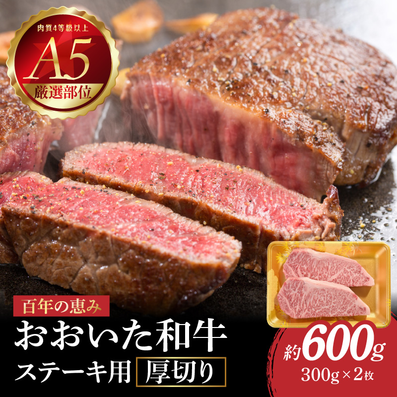 百年の恵み　おおいた和牛A5　ステーキ用厚切り【厳選部位】約600ｇ