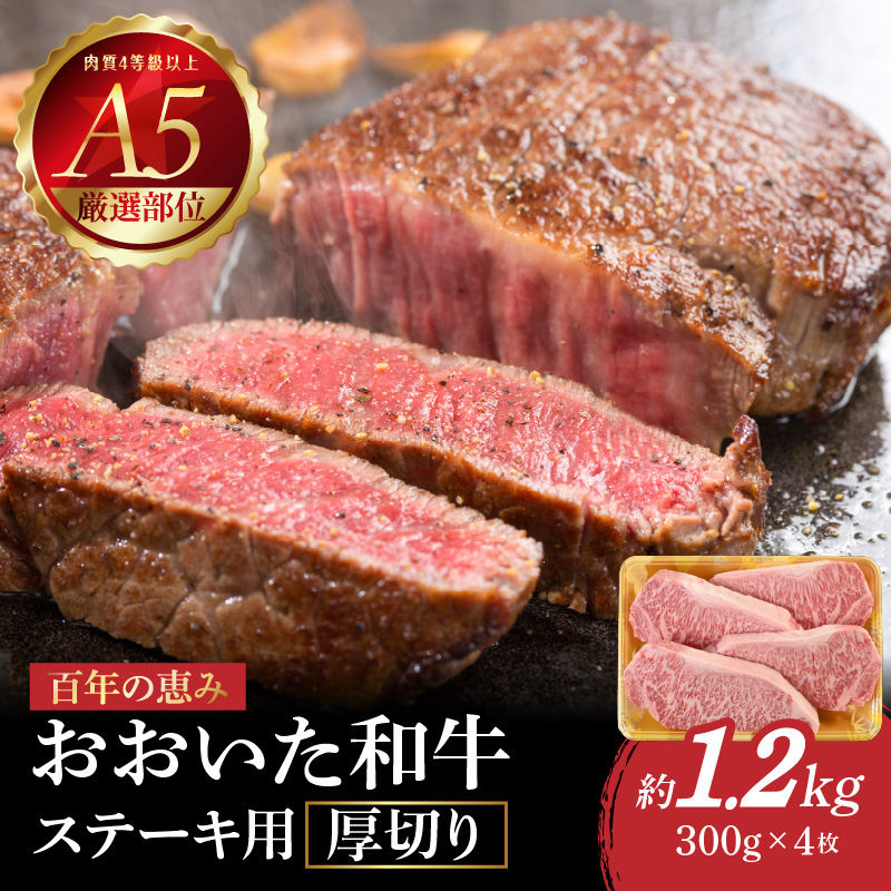 百年の恵み　おおいた和牛A5　ステーキ用厚切り【厳選部位】約1.2kg