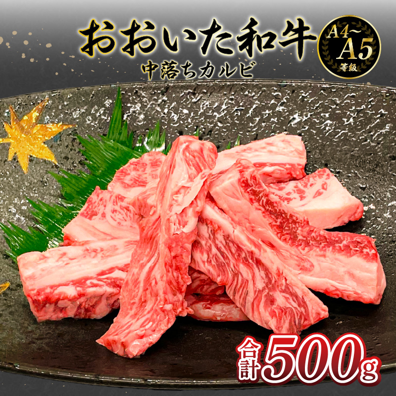 厳選A4～A5等級 おおいた和牛 中落ちカルビ 500g