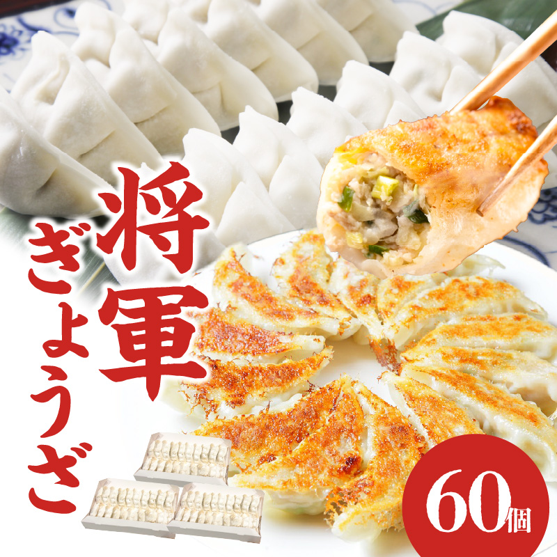 餃子専門店の餃子 将軍餃子 60個
