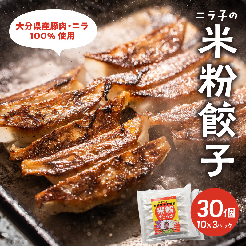 マジでうまい！モチモチすぎるニラ子の米粉ぎょうざ 大分県産豚肉・にら100%使用(ニラ醤油タレ付) 10個入り3パック