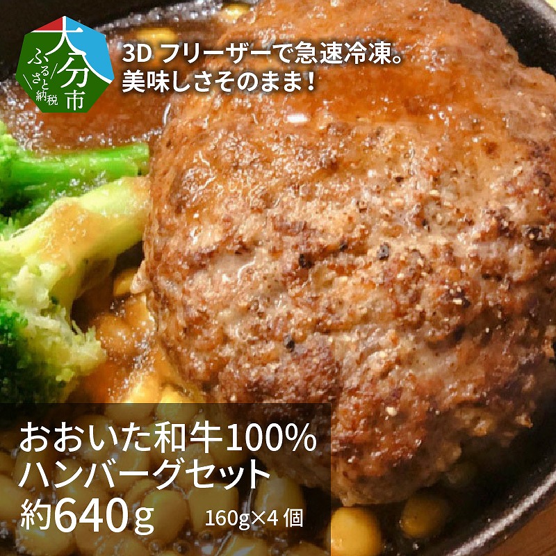 3Dフリーザーで急速冷凍。美味しさそのまま！　4つの味が楽しめる　おおいた和牛100%ハンバーグセット　4個約640ｇ
