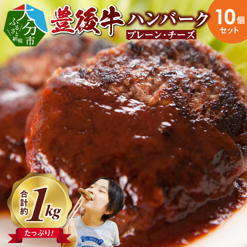 豊後牛ハンバーグ（プレーン・チーズ入り） 合計10個セット（合計約1kg）