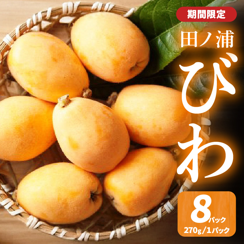 【期間限定】田ノ浦びわ 約2.16kg(270g×8パック）