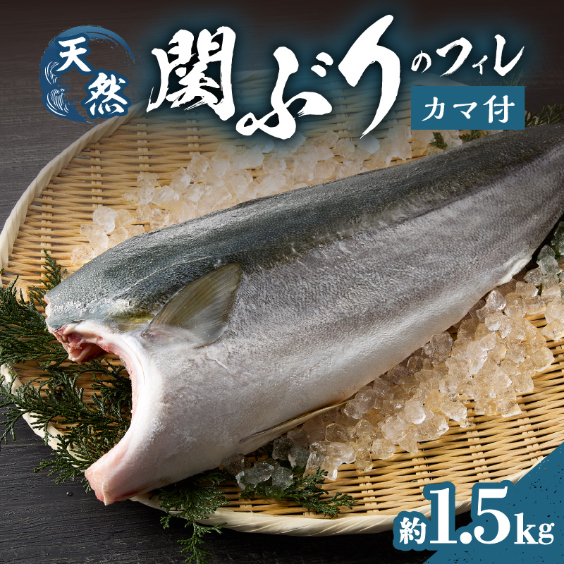 関ぶりのフィレ（カマ付）　約1.5kg