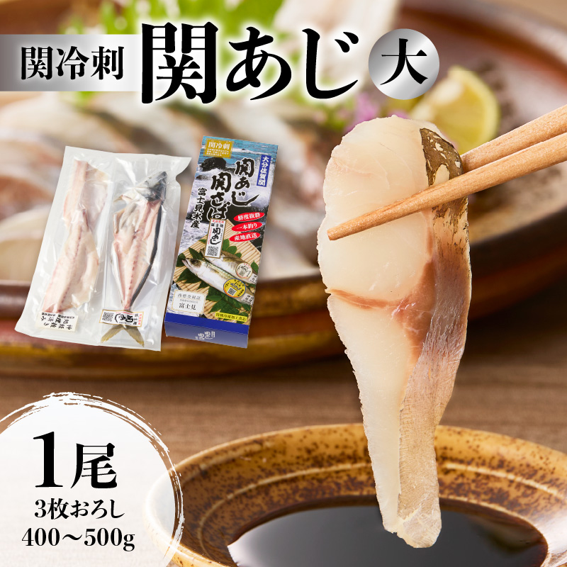 関冷刺　関あじ（大）
