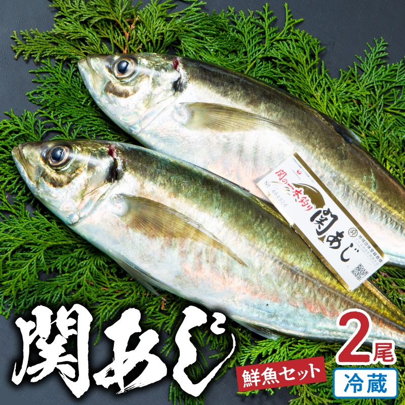関あじ（鮮魚セット）2尾