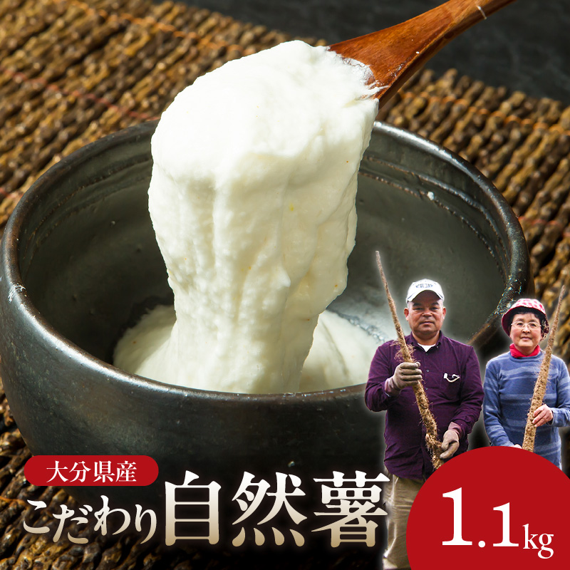 こだわり自然薯 A