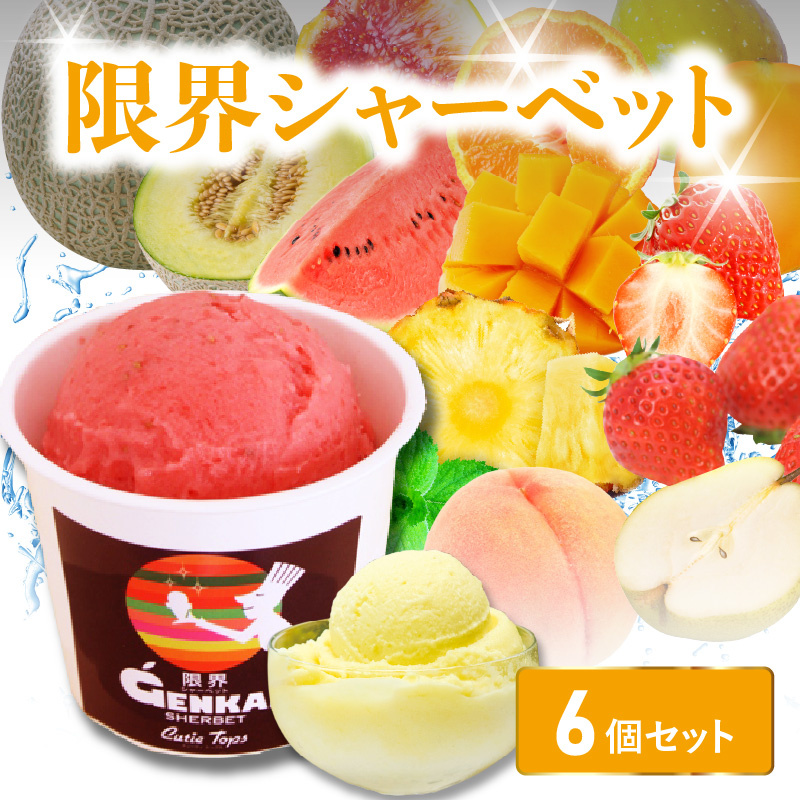 限界シャーベット　6個セット