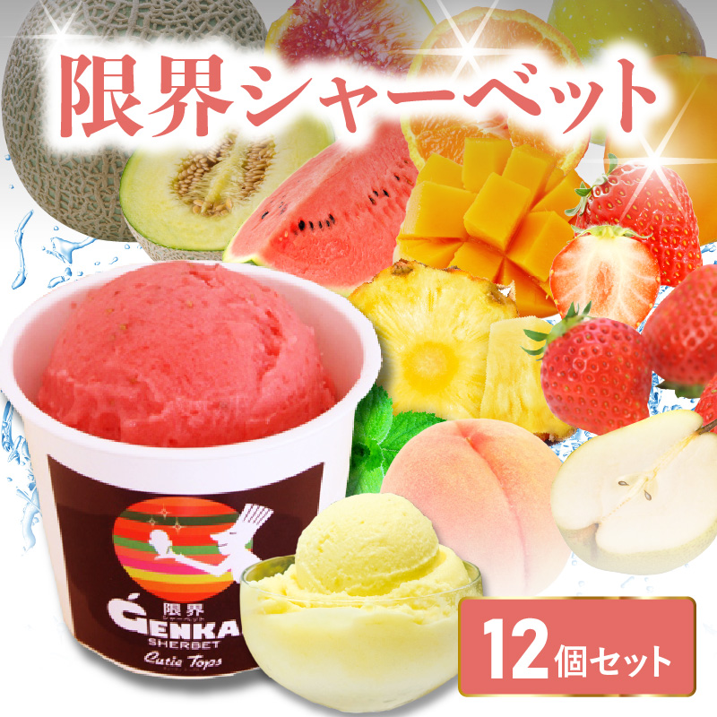 限界シャーベット　12個セット